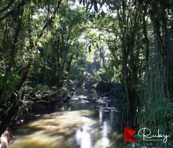 REFUGIO DE BIODIVERSIDAD EN EL CARIBE COSTARRICENSE  500 Hectáreas