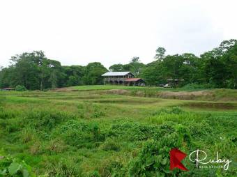 REFUGIO DE BIODIVERSIDAD EN EL CARIBE COSTARRICENSE  500 Hectáreas