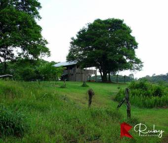 REFUGIO DE BIODIVERSIDAD EN EL CARIBE COSTARRICENSE  500 Hectáreas