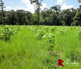 REFUGIO DE BIODIVERSIDAD EN EL CARIBE COSTARRICENSE  500 Hectáreas