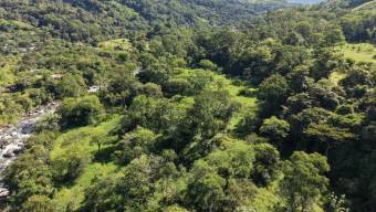VENTA DE FINCA DE 10.9 HA FRENTE AL RIO EN VALLE DEL CHIRRIPO