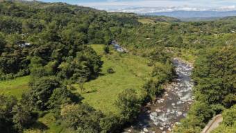 VENTA DE FINCA DE 10.9 HA FRENTE AL RIO EN VALLE DEL CHIRRIPO