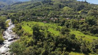 VENTA DE FINCA DE 10.9 HA FRENTE AL RIO EN VALLE DEL CHIRRIPO