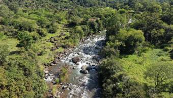 VENTA DE FINCA DE 10.9 HA FRENTE AL RIO EN VALLE DEL CHIRRIPO