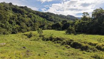 VENTA DE FINCA DE 10.9 HA FRENTE AL RIO EN VALLE DEL CHIRRIPO