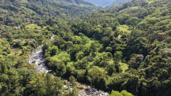 VENTA DE FINCA DE 10.9 HA FRENTE AL RIO EN VALLE DEL CHIRRIPO