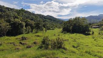 VENTA DE FINCA DE 10.9 HA FRENTE AL RIO EN VALLE DEL CHIRRIPO
