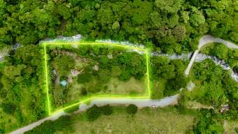 VENTA DE QUINTA DE 4.343 M2 CON FRENTE DE RIO Y SERVICIOS EN CONVENTO, PEREZ ZELEDON