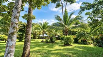 VENTA DE QUINTA DE 4.343 M2 CON FRENTE DE RIO Y SERVICIOS EN CONVENTO, PEREZ ZELEDON