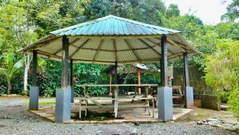 VENTA DE QUINTA DE 4.343 M2 CON FRENTE DE RIO Y SERVICIOS EN CONVENTO, PEREZ ZELEDON