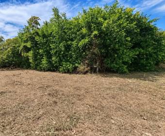 Lote de 1.450 m2 a la venta en San Mateo de Alajuela. Bien adjudicado bancario.