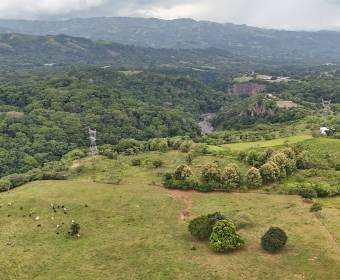 Amplio terreno de 47.154 m2 a la venta en Las Vueltas de La Guácima, Alajuela