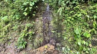 SE VENDE TERRENO CON CATARATA PRIVADA, BOSQUE Y VISTAS A LA MONTAÑA EN TIERRAS MORENAS DE SAVEGRE