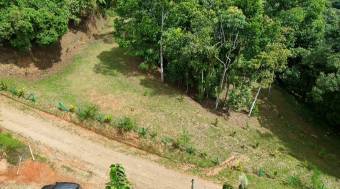 SE VENDE TERRENO CON CATARATA PRIVADA, BOSQUE Y VISTAS A LA MONTAÑA EN TIERRAS MORENAS DE SAVEGRE