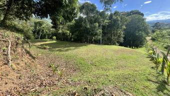 SE VENDE TERRENO CON CATARATA PRIVADA, BOSQUE Y VISTAS A LA MONTAÑA EN TIERRAS MORENAS DE SAVEGRE