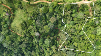 SE VENDE TERRENO CON CATARATA PRIVADA, BOSQUE Y VISTAS A LA MONTAÑA EN TIERRAS MORENAS DE SAVEGRE