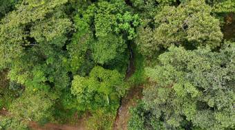 SE VENDE TERRENO CON CATARATA PRIVADA, BOSQUE Y VISTAS A LA MONTAÑA EN TIERRAS MORENAS DE SAVEGRE