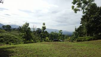 SE VENDE TERRENO CON CATARATA PRIVADA, BOSQUE Y VISTAS A LA MONTAÑA EN TIERRAS MORENAS DE SAVEGRE