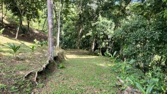 SE VENDE TERRENO CON CATARATA PRIVADA, BOSQUE Y VISTAS A LA MONTAÑA EN TIERRAS MORENAS DE SAVEGRE