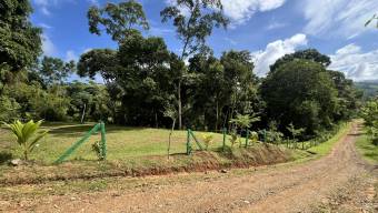 SE VENDE TERRENO CON CATARATA PRIVADA, BOSQUE Y VISTAS A LA MONTAÑA EN TIERRAS MORENAS DE SAVEGRE
