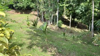 SE VENDE TERRENO CON CATARATA PRIVADA, BOSQUE Y VISTAS A LA MONTAÑA EN TIERRAS MORENAS DE SAVEGRE