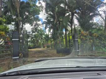 Venta de Hermosa Finca en Grecia, Alajuela / Mls. 27-648 OFC JB