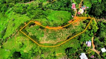 FOR SALE 1.83-ACRE LOT WITH PANORAMIC MOUNTAIN VIEWS IN PLATANARES, PEREZ ZELEDON