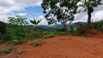 FOR SALE 1.83-ACRE LOT WITH PANORAMIC MOUNTAIN VIEWS IN PLATANARES, PEREZ ZELEDON