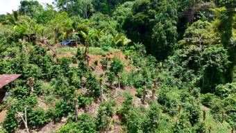 FOR SALE 1.83-ACRE LOT WITH PANORAMIC MOUNTAIN VIEWS IN PLATANARES, PEREZ ZELEDON