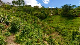 FOR SALE 1.83-ACRE LOT WITH PANORAMIC MOUNTAIN VIEWS IN PLATANARES, PEREZ ZELEDON