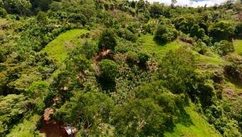 FOR SALE 1.83-ACRE LOT WITH PANORAMIC MOUNTAIN VIEWS IN PLATANARES, PEREZ ZELEDON