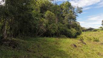 VENTA DE LOTE RESIDENCIAL DE 2.000 M2 FRENTE AL RIO PEÑAS BLANCAS EN SANTA ELENA, PEREZ ZELEDON VENTA DE LOTE RESIDENCIAL DE 2.000 M2 FRENTE AL RIO PEÑAS BLANCAS EN SANTA ELENA, PEREZ ZELEDON