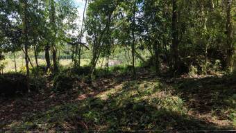 VENTA DE LOTE RESIDENCIAL DE 2.000 M2 FRENTE AL RIO PEÑAS BLANCAS EN SANTA ELENA, PEREZ ZELEDON VENTA DE LOTE RESIDENCIAL DE 2.000 M2 FRENTE AL RIO PEÑAS BLANCAS EN SANTA ELENA, PEREZ ZELEDON