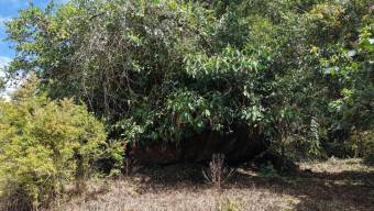 VENTA DE LOTE RESIDENCIAL DE 2.000 M2 FRENTE AL RIO PEÑAS BLANCAS EN SANTA ELENA, PEREZ ZELEDON VENTA DE LOTE RESIDENCIAL DE 2.000 M2 FRENTE AL RIO PEÑAS BLANCAS EN SANTA ELENA, PEREZ ZELEDON