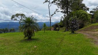 SE VENDE FINCA CON CABANA RUSTICA Y VISTAS PANORAMICAS AL VALLE SE VENDE FINCA CON CABANA RUSTICA Y VISTAS PANORAMICAS AL VALLE