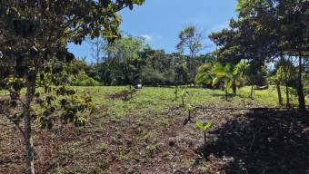 VENTA DE CASA CON LOTE DE 3.494 M2 EN TRES RIOS DE VOLCAN, BUENOS AIRES DE PUNTARENAS