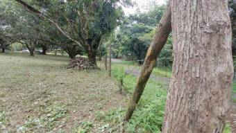 Venta de Lote en Turrubares. RAH 27-866 OPORTUNIDAD ÚNICA