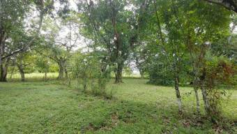 Venta de Lote en Turrubares. RAH 27-866 OPORTUNIDAD ÚNICA