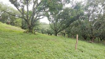 Venta de Lote en Turrubares. RAH 27-866 OPORTUNIDAD ÚNICA