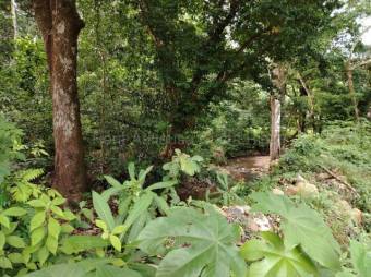 Venta de Lote en San Mateo de Alajuela. RAH 27-869