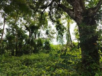 Venta de Lote en San Mateo de Alajuela. RAH 27-869