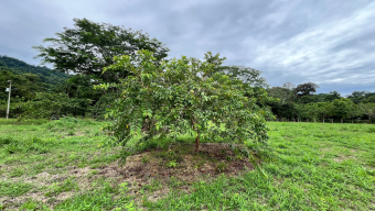 SE VENDE LOTE EN HATILLO CON EXCELENTE POTENCIAL DE INVERSION SE VENDE LOTE EN HATILLO CON EXCELENTE POTENCIAL DE INVERSION
