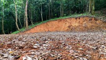 FOR SALE LAND READY TO BUILD SURROUNDED BY NATURE FOR SALE LAND READY TO BUILD SURROUNDED BY NATURE