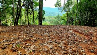 FOR SALE LAND READY TO BUILD SURROUNDED BY NATURE FOR SALE LAND READY TO BUILD SURROUNDED BY NATURE