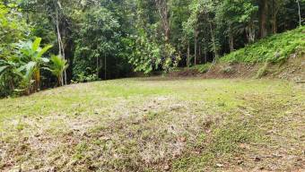 FOR SALE LAND READY TO BUILD SURROUNDED BY NATURE FOR SALE LAND READY TO BUILD SURROUNDED BY NATURE