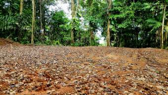 FOR SALE LAND READY TO BUILD SURROUNDED BY NATURE FOR SALE LAND READY TO BUILD SURROUNDED BY NATURE