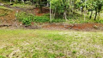 FOR SALE LAND READY TO BUILD SURROUNDED BY NATURE FOR SALE LAND READY TO BUILD SURROUNDED BY NATURE
