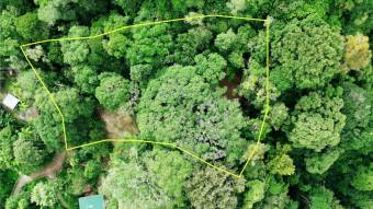 FOR SALE LAND READY TO BUILD SURROUNDED BY NATURE FOR SALE LAND READY TO BUILD SURROUNDED BY NATURE