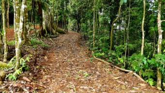 FOR SALE LAND READY TO BUILD SURROUNDED BY NATURE FOR SALE LAND READY TO BUILD SURROUNDED BY NATURE