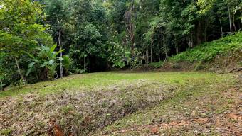 FOR SALE LAND READY TO BUILD SURROUNDED BY NATURE FOR SALE LAND READY TO BUILD SURROUNDED BY NATURE